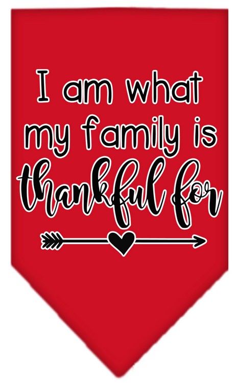 I Am What My Family is Thankful For Screen Print Bandana Red Small